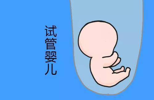 靠谱志愿者供卵咨询